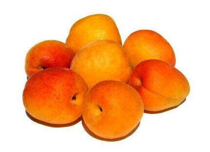 Comprar Albaricoque Berdejo ecológico | EcoSarga