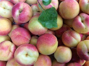 Comprar albaricoque online en FrutadeLaSarga