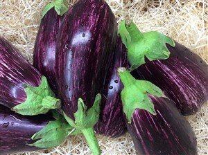 Compar berenjena. Venta online en Fruta de La Sarga