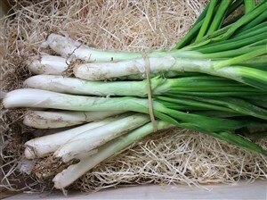 Comprar calçots online en Fruta de La Sarga