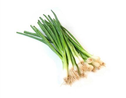 Comprar calçots online en Fruta de La Sarga