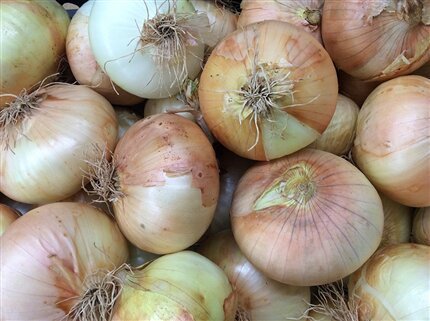 Cebolla dulce blanca. Venta online en Fruta de La Sarga