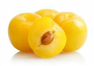 Ciruelos amarillos Sungold en Fruta de La Sarga