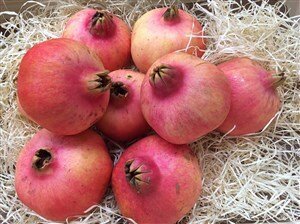 Comprar granada mollar. Directa de Elche|Fruta de La Sarga