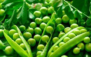 Comprar guisantes frescos con vainas en Fruta de La Sarga
