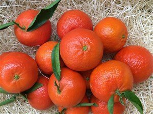 Comprar mandarina clemenvilla online|FrutadeLaSarga