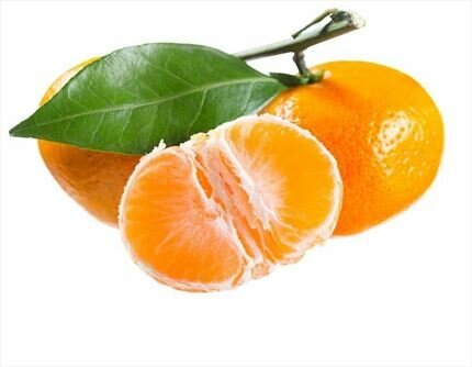 Comprar mandarina hernandina online|FrutadeLaSarga