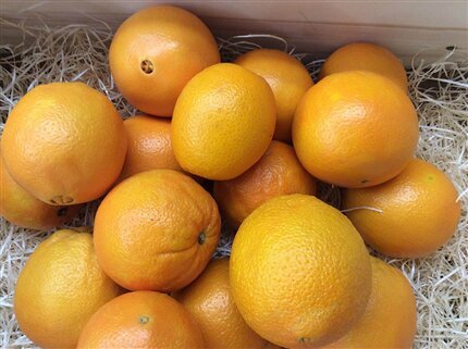 Comprar naranja valenciana para zumo|FrutadeLaSarga