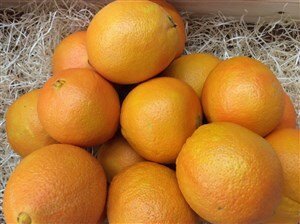 Comprar naranja de valencia navelina |FrutadeLaSarga