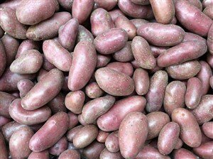 Comprar patata de guarnición online|FrutadeLaSarga