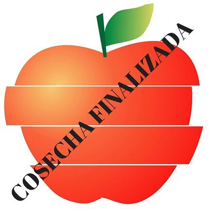 Comprar patata de guarnición online|FrutadeLaSarga