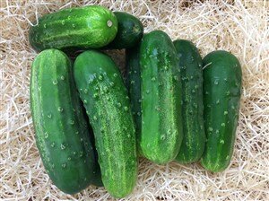 Comprar pepinos online en Fruta de La Sarga