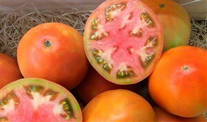 Tomate ensalada montañas alicantinas|FrutadeLaSarga