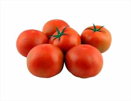 Comprar Tomate Óptima online Montaña de Alicante | Fruta de La Sarga