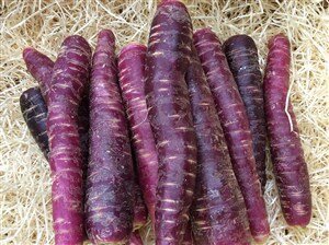 Comprar zanahoria morada en Fruta de La Sarga